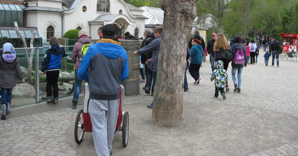 Sozialpädagogische Familienhilfe (SPFH) | Besuch Tierpark